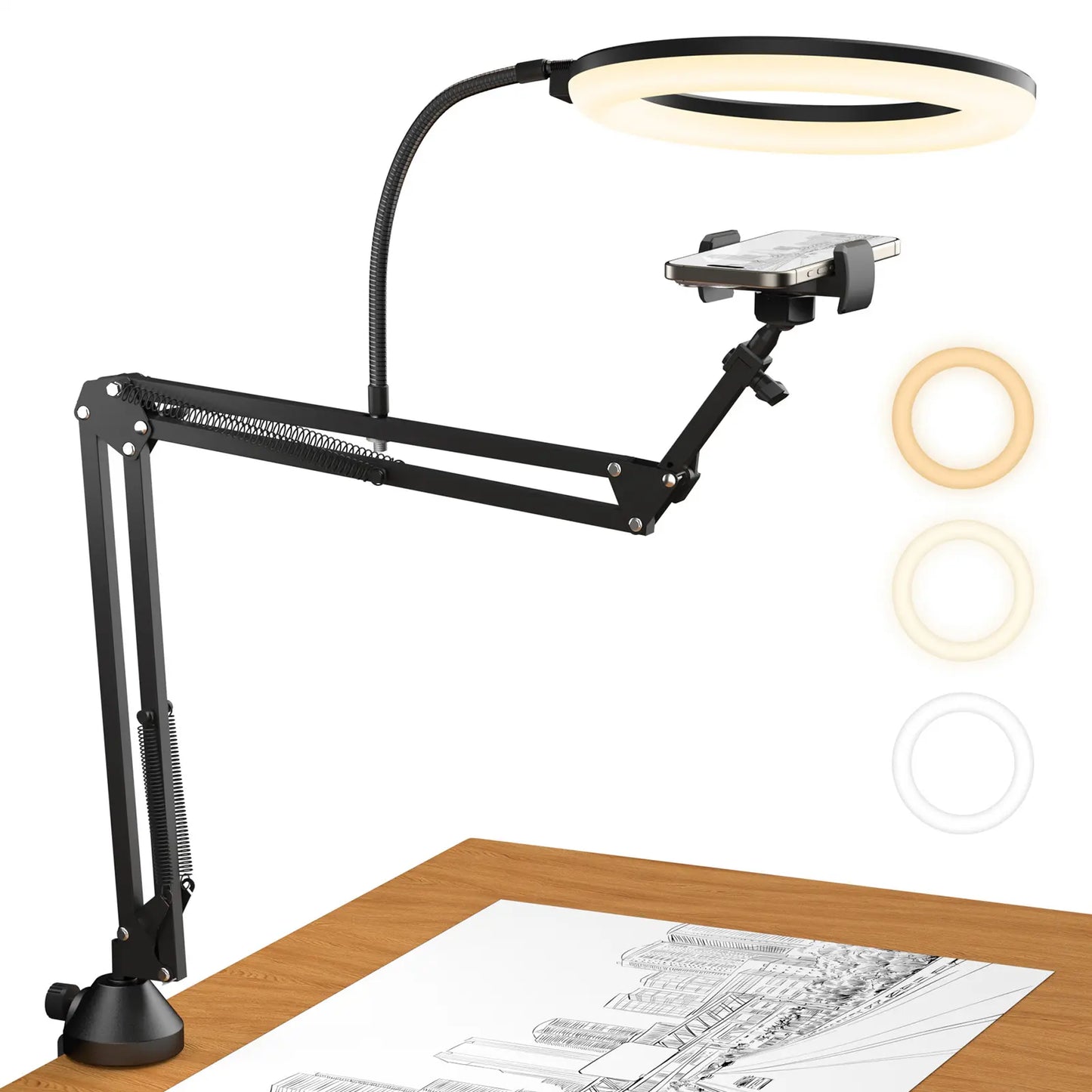 Overhead Ring Light Kit with Boom Arm and Phone Holder - Adjustable Angle for Recording, Live Stream, Makeup and Nail Art