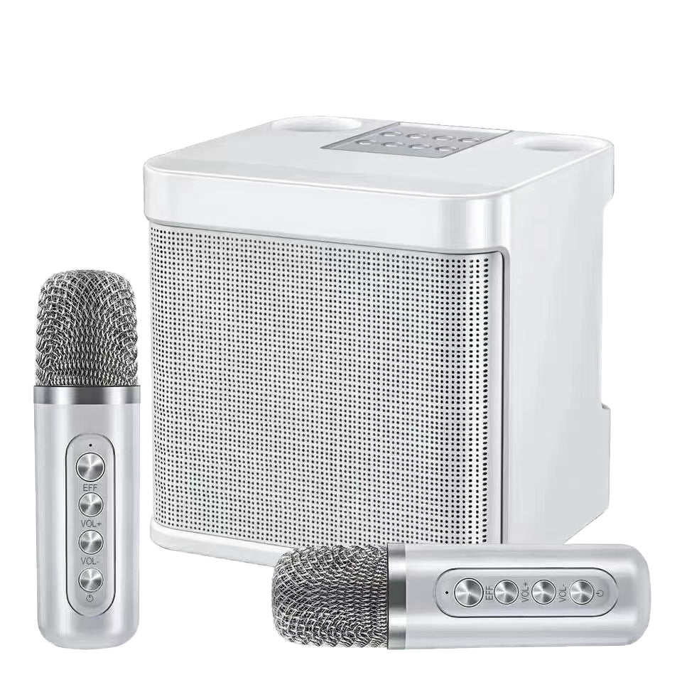 Portable Wireless Karaoke Speaker with 2 Mics – PA System, TWS, USB/AUX/TF/REC Inputs, HD Sound, Echo/Bass Control, Rechargeable, Anti-Slip, for Home, Outdoor & Travel