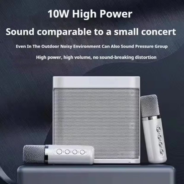 Portable Wireless Karaoke Speaker with 2 Mics – PA System, TWS, USB/AUX/TF/REC Inputs, HD Sound, Echo/Bass Control, Rechargeable, Anti-Slip, for Home, Outdoor & Travel